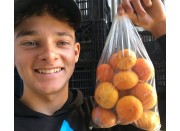 SPRAY FREE ENCORE MANDARINS 1 KG Bag Katikati Grown SPRAY FREE ENCORE MANDARINS 1 KG Bag Katikati Grown
